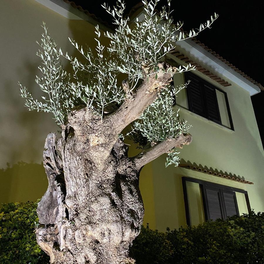 Villa Manzo Relais -Pompei Vesuvius Boscotrecase Exterior photo