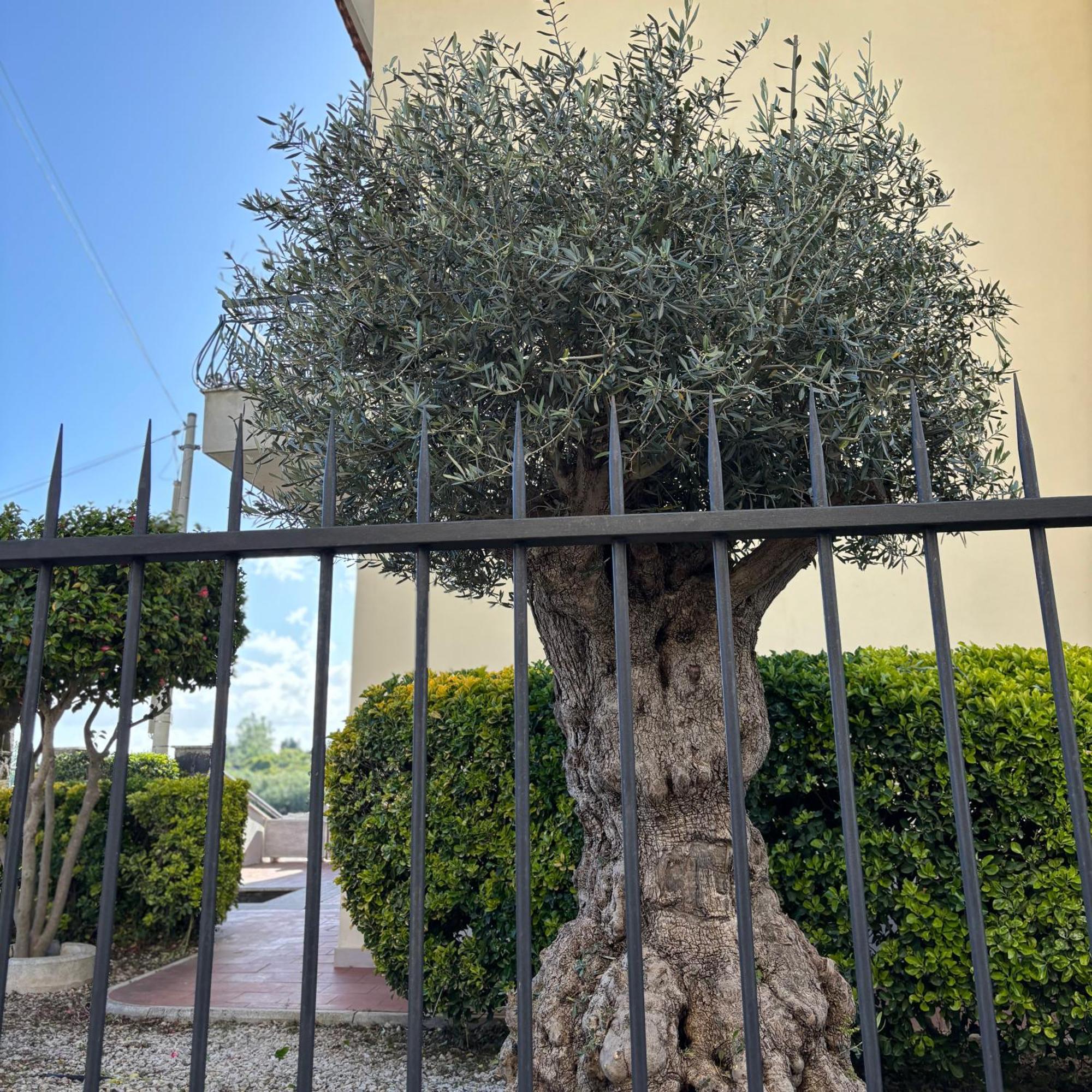 Villa Manzo Relais -Pompei Vesuvius Boscotrecase Exterior photo